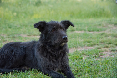 Similar image 21763433