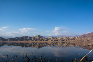 Similar image 21763440