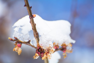 Similar image 21763441