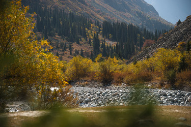 Similar image 21763448