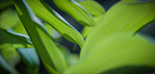 Similar image 21763451