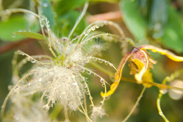 Similar image 21763453