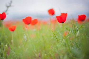 Similar image 21763455