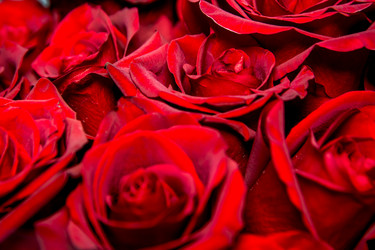 Similar image 21763457