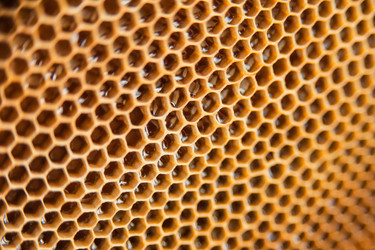 Similar image 21763462