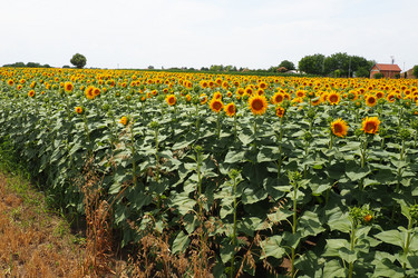 Similar image 21765876