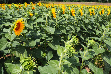 Similar image 21765877