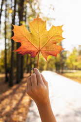 Similar image 21762946