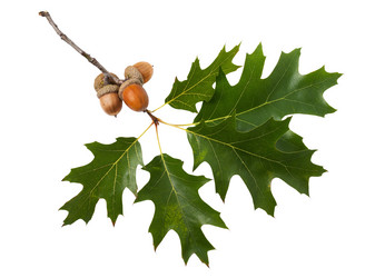 Similar image 21762968