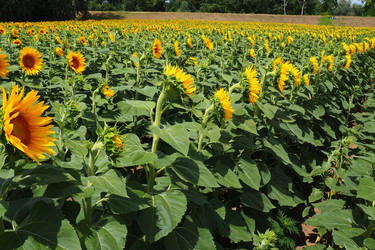 Similar image 21765881