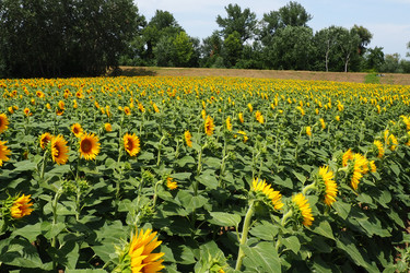 Similar image 21765882