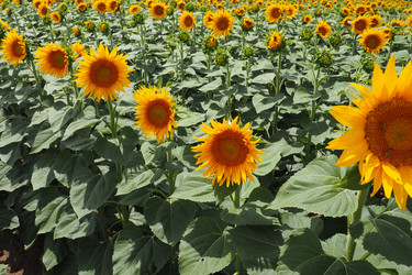 Similar image 21765883