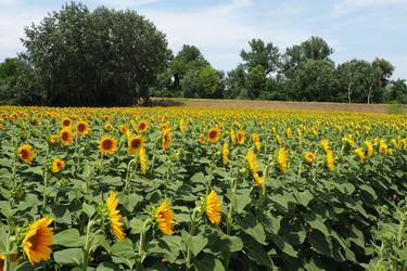 Similar image 21765886