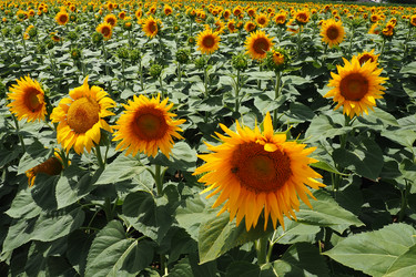 Similar image 21765887