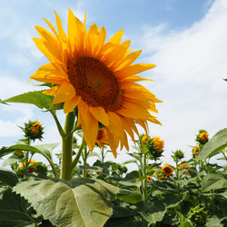 Similar image 21765889