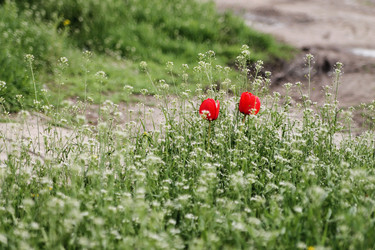 Similar image 21764623