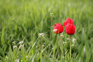 Similar image 21764624