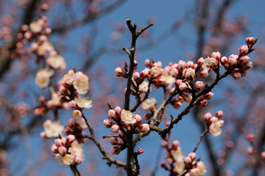 Similar image 21764625