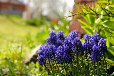 Similar image 21764626