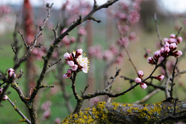 Similar image 21764627