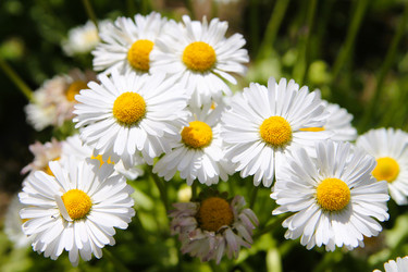 Similar image 21764628