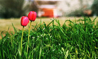 Similar image 21764629