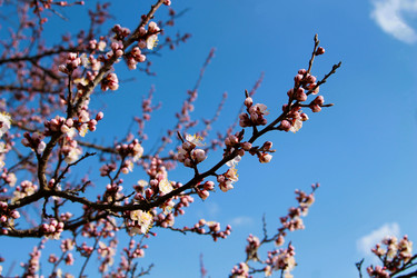 Similar image 21764630