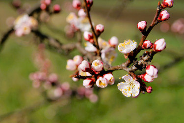 Similar image 21764631