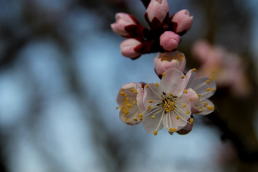 Similar image 21764632