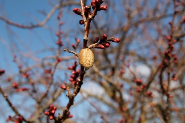 Similar image 21764633