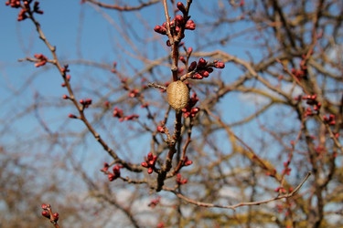 Similar image 21764634