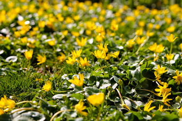 Similar image 21764635