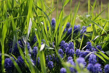 Similar image 21764636