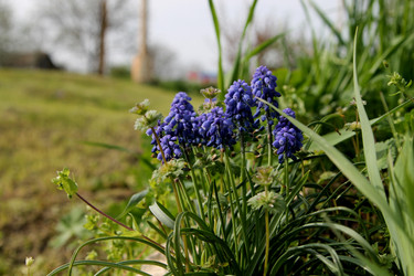 Similar image 21764637