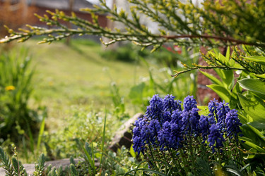 Similar image 21764638