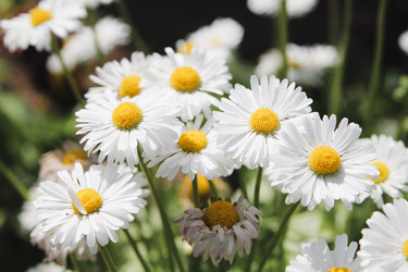 Similar image 21764640