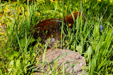 Similar image 21764642