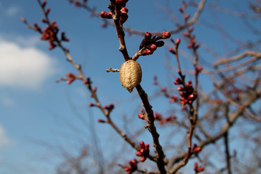 Similar image 21764643