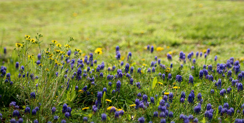 Similar image 21764644