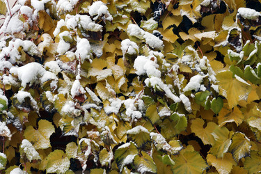 Similar image 21762980