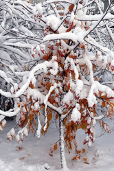 Similar image 21762981