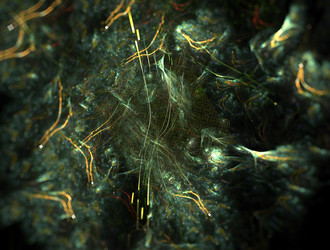 Similar image 21764532