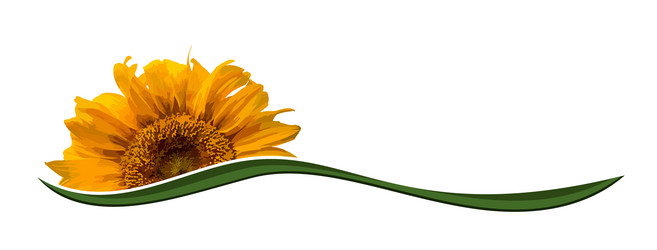 Similar image 21763002