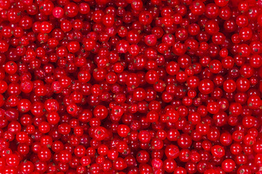 Similar image 21764269