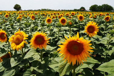 Similar image 21765915