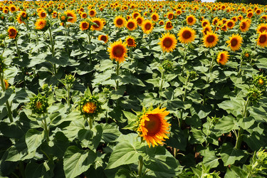 Similar image 21765919