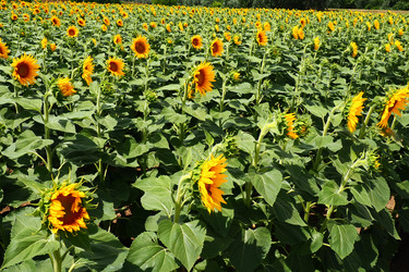 Similar image 21765922