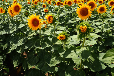 Similar image 21765923