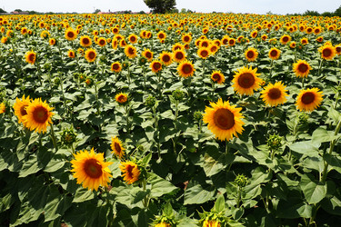 Similar image 21765924