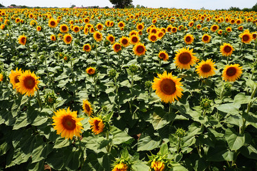 Similar image 21765925